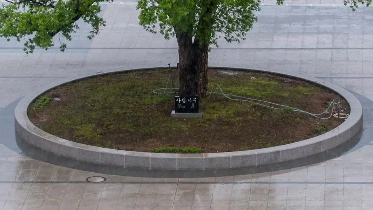 俺去也地址获取与常见访问问题说明